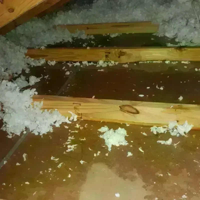 Attic Water Damage in Northfield, OH