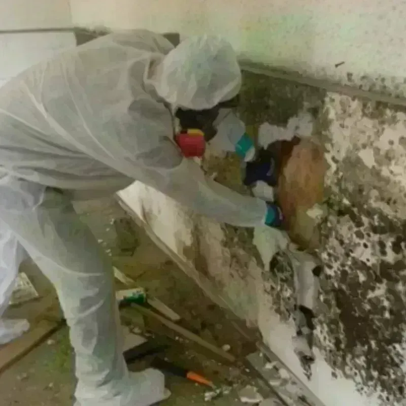 Mold Remediation and Removal in Northfield, OH